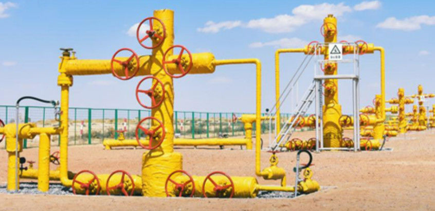2 1/16-7 1/16 In Wellhead Christmas Tree 3000psi-20000psi